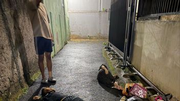 벤힐 4층 옥상에서 뛰어내린 2명의 ART, 1명 사망