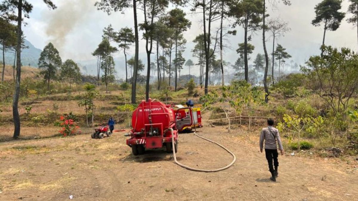 警察が意図的なグントゥール山森林火災を調査