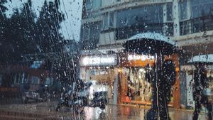 Prakiraan cuaca BMKG di Lampung: Siang Berawan, Malam dan Dini Hari Hujan 