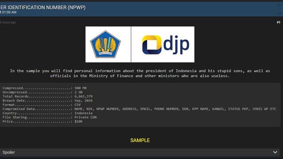 6 Juta Data NPWP Diduga Bocor, Ada Punya Jokowi, Gibran, dan Banyak Menteri Lain