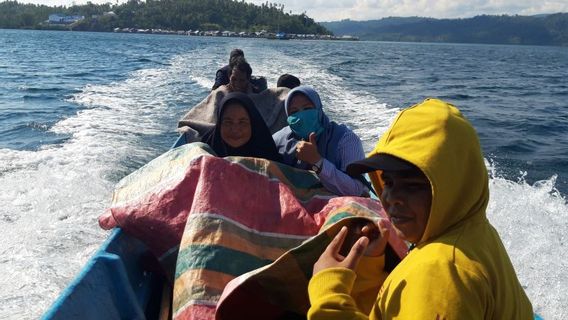 Marak Pembalakan Liar, Pemkab Halmahera Malut Bentuk Satgas Khusus