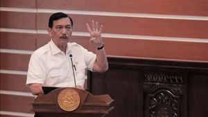 Luhut: IKN Bukan Kota yang Didirikan Kolonial, tapi Oleh Anak Bangsa