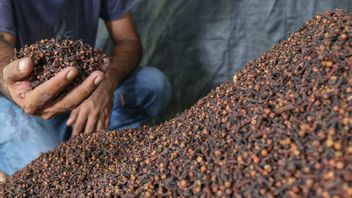 Empty Spice Supply In The Aftermath Of The Cs-137 Radiation Case, US Importers Fly To RI