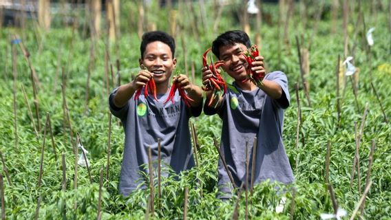 Member of the DPR Agrarian Committee: Farmers Must Be the Main Subject of National Food Development