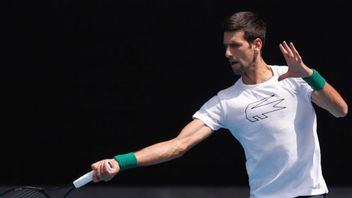 ATP Finals 2023: Novak Djokovic Tumbang in the Hand of Jannik Sinner