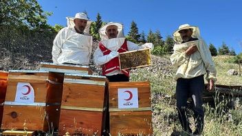 トルコの養蜂家がガザに2000個の蜂蜜トプレスを送る