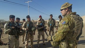 根据战争罪报道，澳大利亚军方杀害了39名阿富汗平民