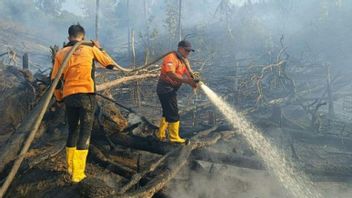 再次,BMKG提醒印度尼西亚一些地区发生森林和陆地火灾的可能性