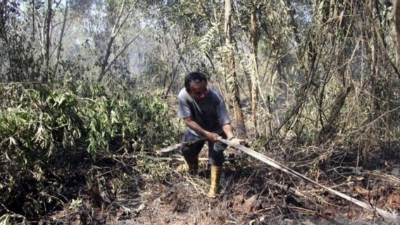 Des officiers ont destitué karhutla à 2,7 hectares à Dumai et Rokan Hilir