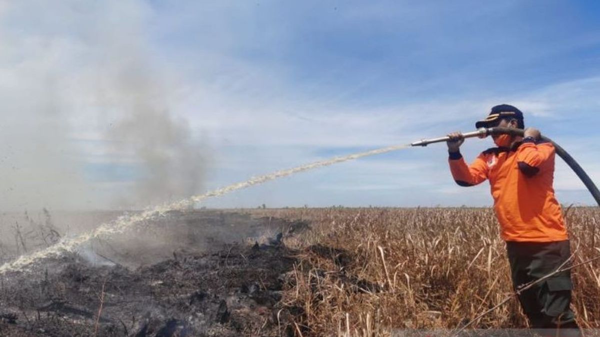 رياو BPBD يكشف عشرات الهكتارات من الأراضي المحترقة