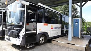 Bukit Asam Mulai Operasikan 5 Unit Bus Listrik di Pelabuhan Tarahan Lampung