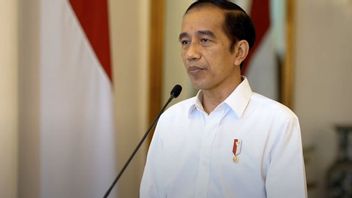 Jokowi Perintahkan Menhub Maksimalkan Pencarian Pesawat Sriwijaya Air SJ 182 yang Jatuh 