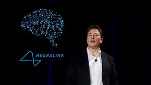 Tech Evolution] – Neuralink Milik Elon Musk dan Neuro Linker dari Accel  World, Apakah Sama? - AniEvo ID
