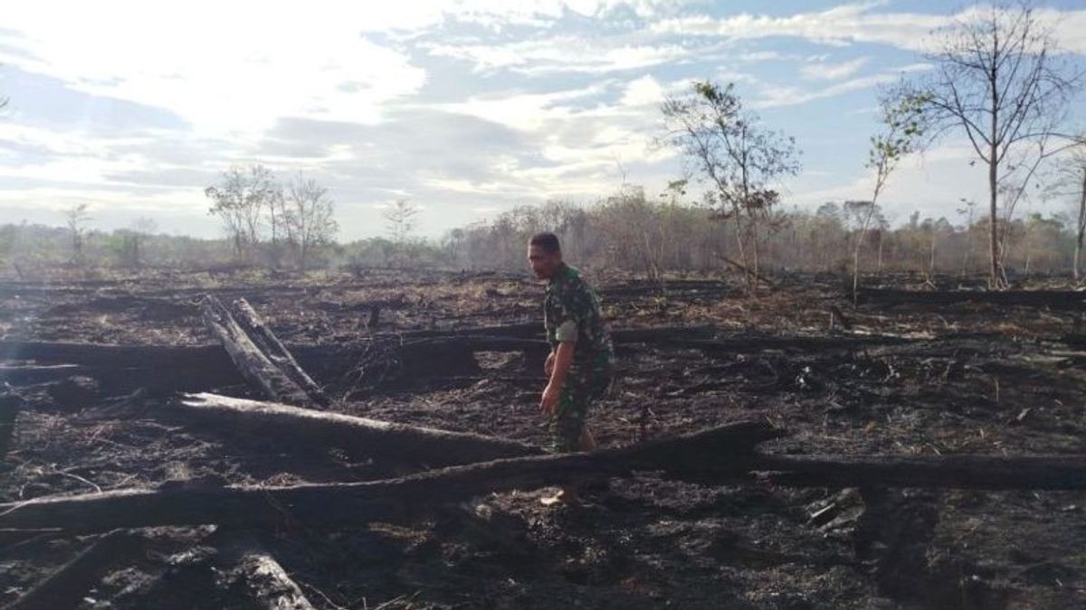 Asap Hilang, Napas Lega: Lahan 6,5 Hektare di Aceh Barat Akhirnya Padam Total