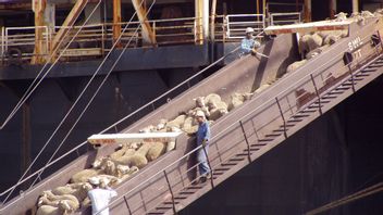 载有15000只羊在港口沉没的船只：700头获救，损失540亿印尼盾 