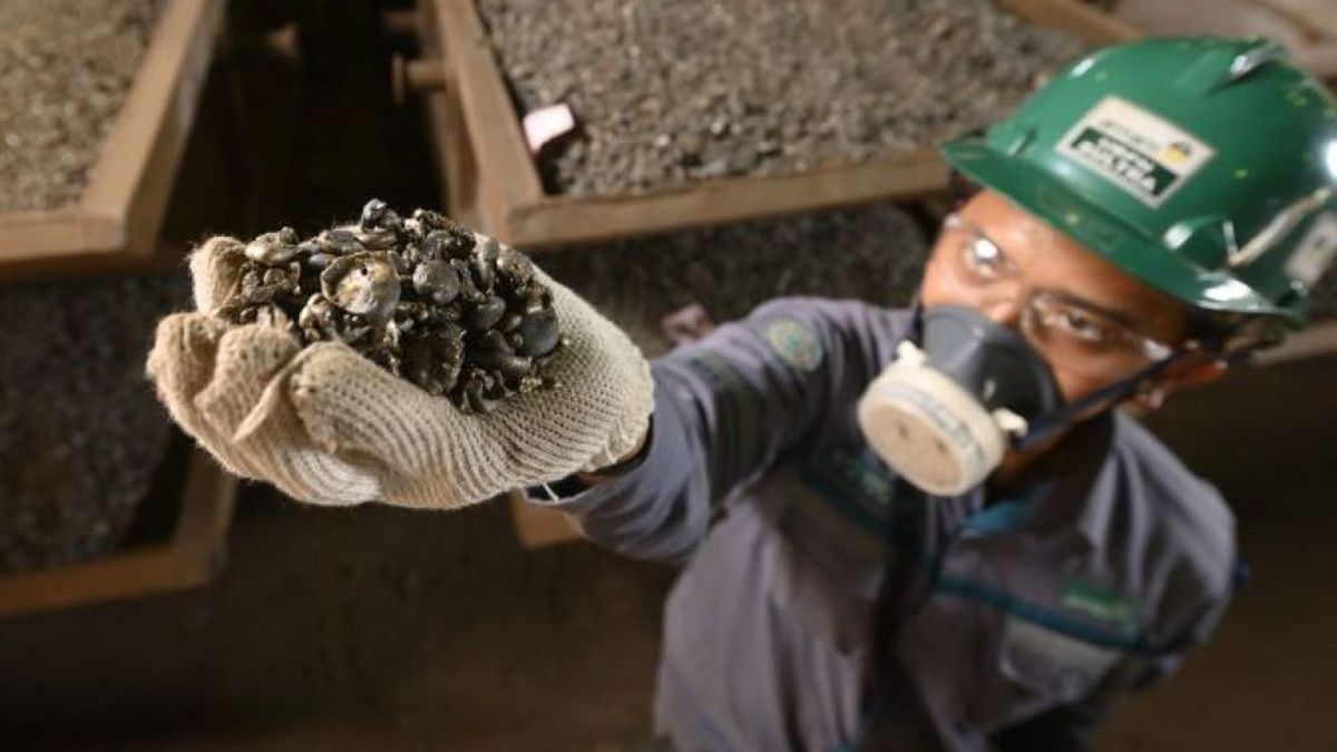 インドネシアのニッケル製品がロンドン金属取引所に参入し、エネルギー鉱物資源大臣のスタッフは多くの利点を明らかにしました