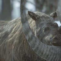 Apple Umumkan Dokumenter Prehistoric Planet: Ice Age yang Akan Hadir dalam 5 Episode
