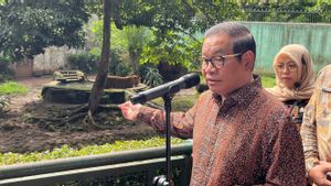 Cek Langsung Kondisi Harimau Ragunan yang Viral, Pramono: Ternyata Sangat Sehat