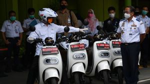 Dongkrak Penerapan EBT, Indonesia Perlu Dorong Jepang Beralih Jadi Produsen Kendaraan Listrik