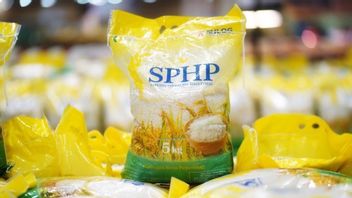 asif : 800 000 tonnes de riz d'épicerie sont prêtes à être versées dans le commerce de détail moderne