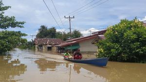 10.596 Rumah di Kalbar Terendam Banjir, Warga Diminta Waspada Karena Curah Hujan Masih Tinggi