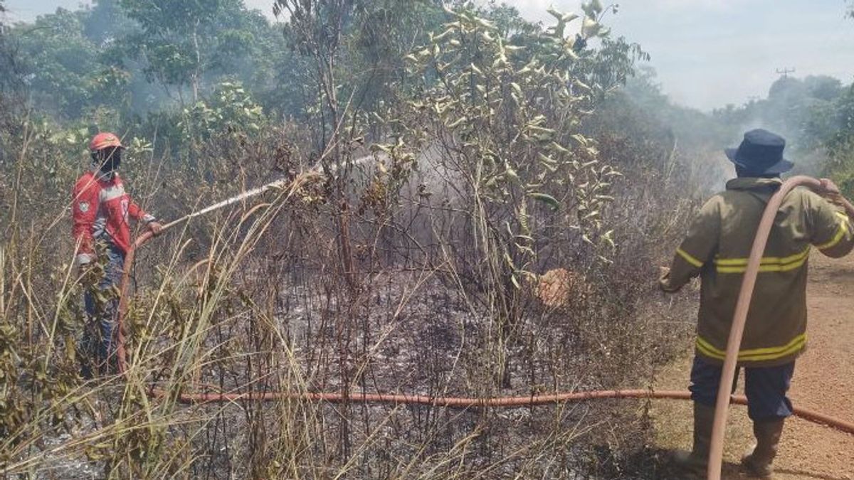 One Hectare Of Dry Land In Belitung Burns, Allegedly Due To Cigarette Benefits