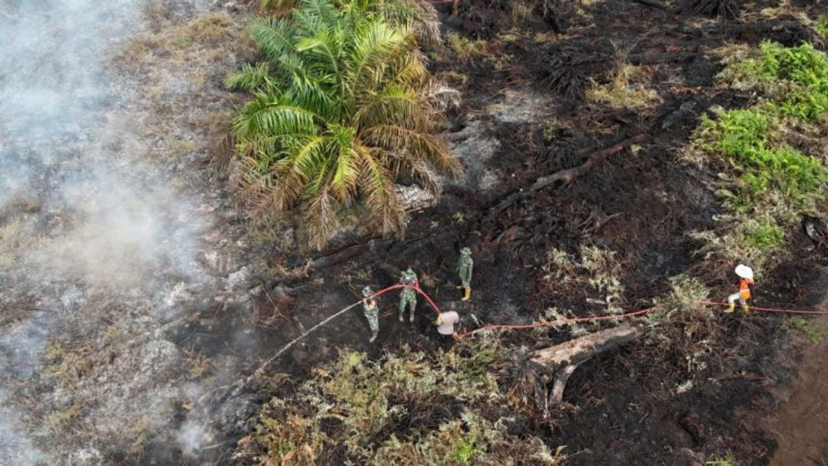 Karhutla Lalap 72 Hektare Lahan di Aceh Selatan, BPBD: Baru Padam 45 Persen  