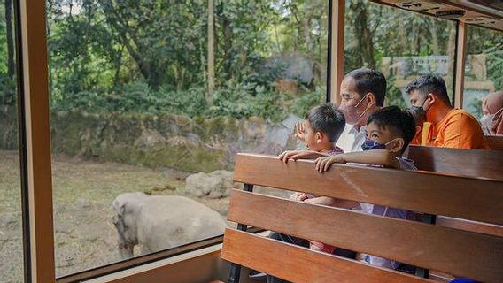 照片新闻：Moment Kak Sedah和Babang Nahyan Son Bobby Nasution与Mbah Jokowi在巴厘岛野生动物园和海洋公园演出