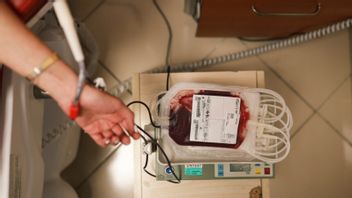 完成保健服务,西加里曼丹的普图西包地区医院在一个月内需要250袋血液