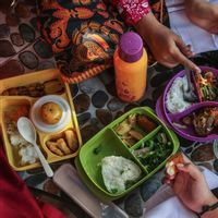 Program MBG Dinilai Bisa Tidak Sepenuhnya Gratis tapi Dapat Dibiayai Subsidi Sebagian