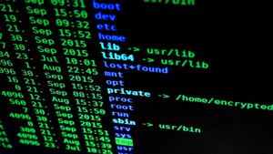 Badan Pengawas Obat Eropa Benarkan Terjadi Pencurian Data Serangan Siber