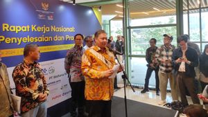 Airlangga Said 41 PSN Projects Will Be Completed This Year