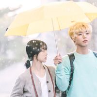 4 Reasons Why Korean Drama At A Distance Spring Is Green Must Watch
