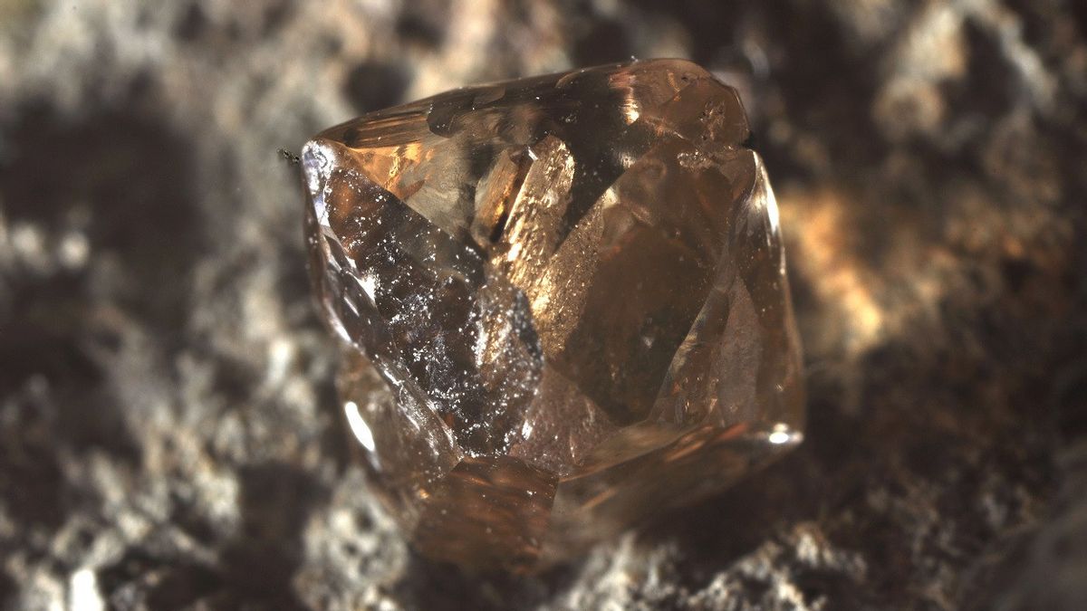 Temukan Salah Satu Berlian Terbesar dalam Sejarah Pertambangan, Pria Ini Jadi Miliarder Dadakan