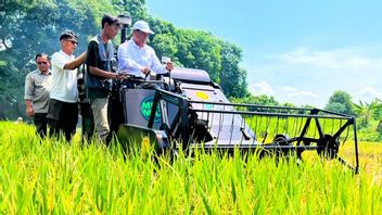 阿姆兰强调,农业占GDP的14.35%,成为印尼经济的驱动力