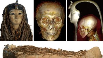 Through Digital Technology Scientist Amenhotep I Mummy Surgery, Without Damage To Masks And Bandages