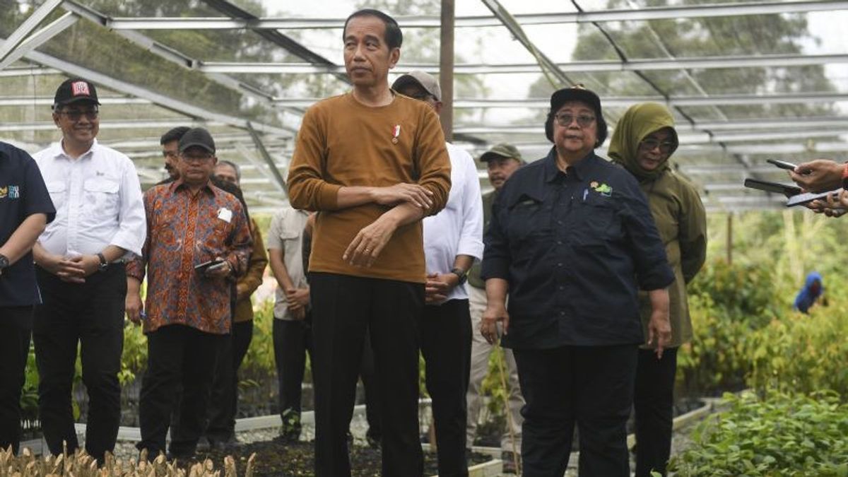 Dipanggil ke Istana, Presiden Jokowi Perintahkan Menteri LHK Antisipasi Kemarau Panjang