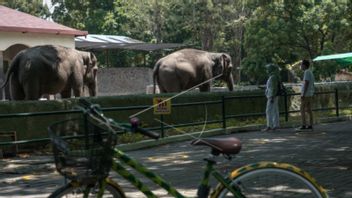 快乐洛卡动物园拒绝数以百计的游客在一天，因为12岁以下的儿童