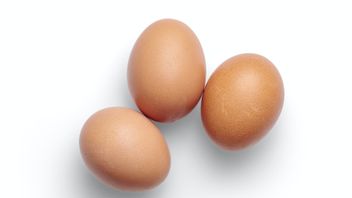 鸡蛋价格上涨，DKI KPKP办公室表示受到COVID-19大流行的影响