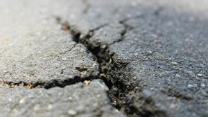 Masyarakat Jepang Diimbau Waspada Usai Gempa Magnitudo 7,5 Senin Malam