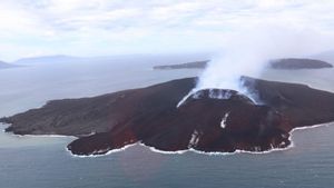 Gunung Anak Krakatau Siaga, Kepala BNPB: Tetap Waspada, Tapi Jangan Panik