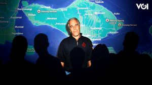 Mengintip Lubang Kunci Epstein di Bali