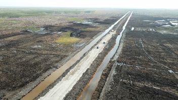 Dukung Program Ketahanan Pangan, Jhonlin Group Bangun Jalan 16,8 Km di Merauke