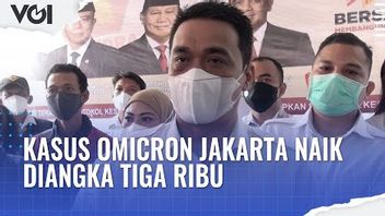 VIDEO: Omicron Cases Increase In Jakarta, This Is Said By Deputy Governor Ahmad Riza Patria