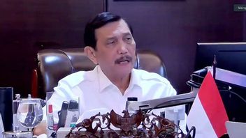 Luhut Opens His Voice About Nickel Price Drops Due To Reckless Downstream