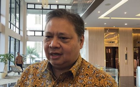 Airlangga Ungkap Pemerintah Fokus pada Perkembangan Startup, Bukan Sekadar Jumlah Unicorn