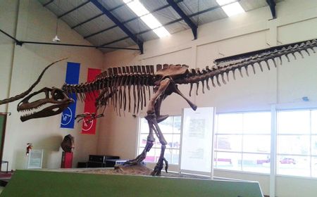 Fosil Patagonia Ungkap Dinosaurus Jurassic Sudah Miliki Mentalitas Kawanan