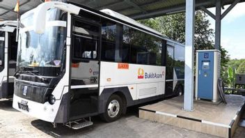 بدأت بوكيت أسام في تشغيل 5 وحدات من الحافلات الكهربائية في ميناء تاراهان لامبونج