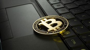 Bitcoin atteint 1,32 Md de Rp, le marché des crypto-monnaies est toujours en proie à l'incertitude