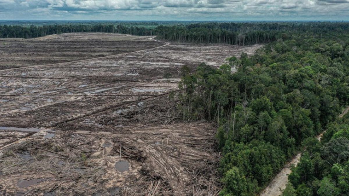 Global Conflict, Climate Change, And Food Estate Mismanagement: Indonesia Faces Food Crisis Threats